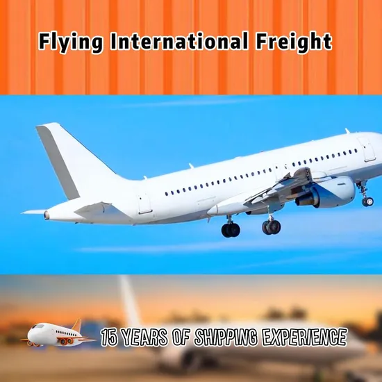 Shipping Service Hawaiian Party Luau Lei Tropical Garland Party Supply Yiwu Shipping Yiwu Agent (B3041)