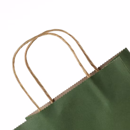 Printed Black Paper Packaging Luxury Shopping Gift Bag with Handle