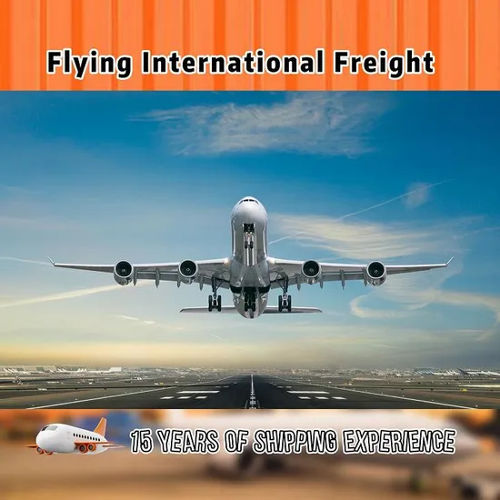 Air Freight Container Door to Door Shipping Service From China to Italy