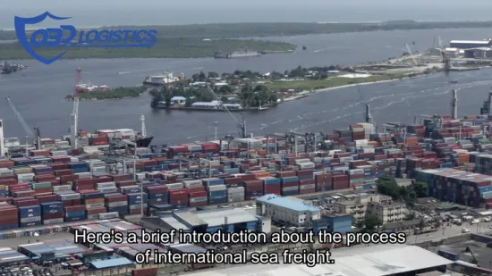 Amazon Fba Door to Door DDP DDU Sea Freight/Air Shipping From China to Us/Europe